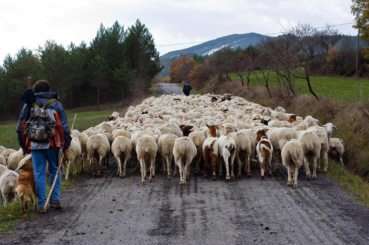 Casa Cebollero Autural Vendégház Fraginal Kültér fotó